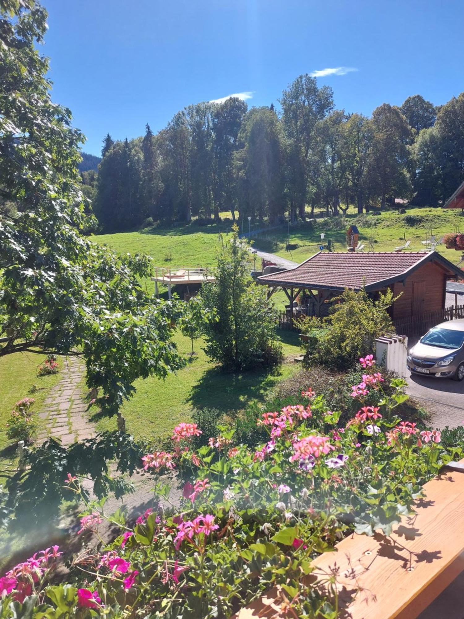 Landhaus Schoenblick Bad Kohlgrub Exteriér fotografie