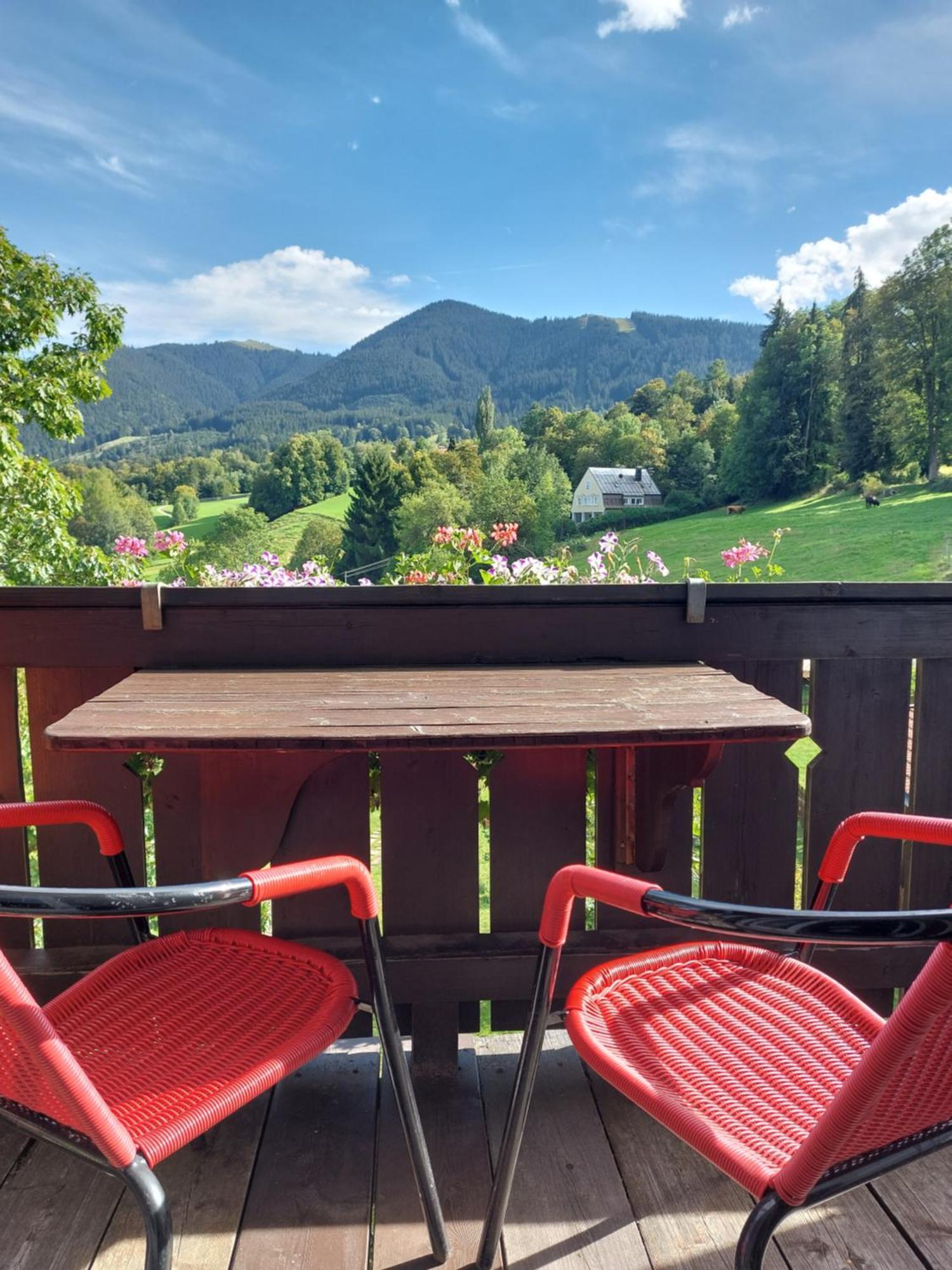 Landhaus Schoenblick Bad Kohlgrub Exteriér fotografie
