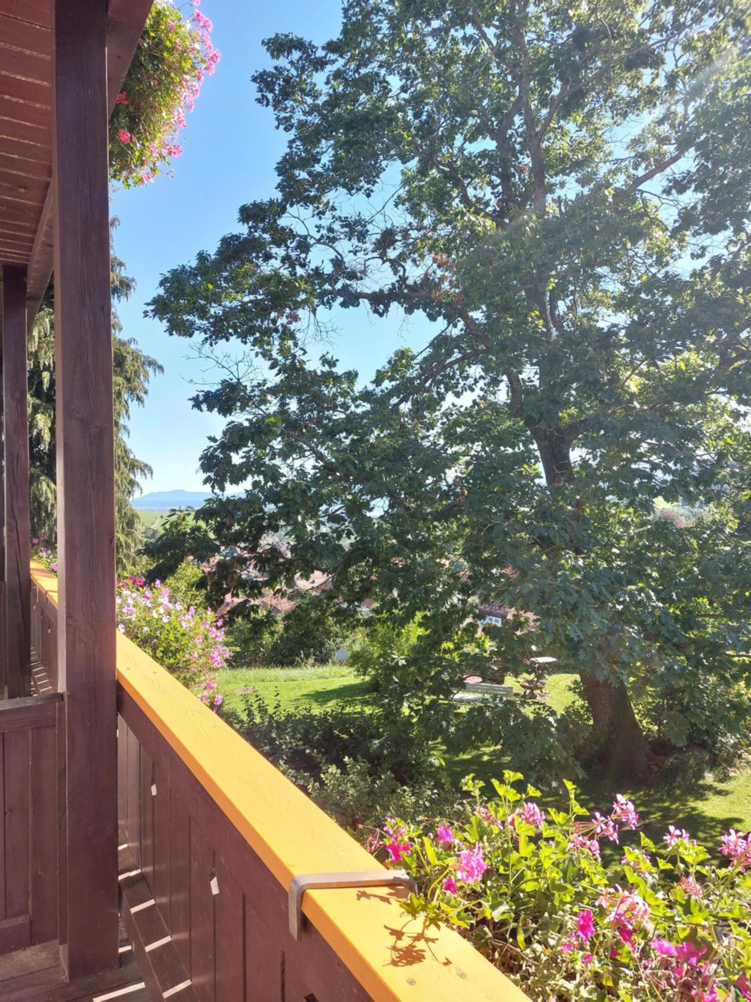 Landhaus Schoenblick Bad Kohlgrub Exteriér fotografie